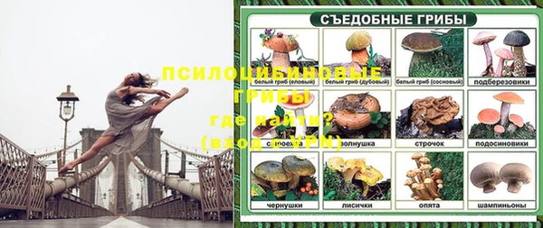 героин Алексин